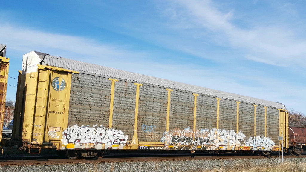 BNSF 24159 (Body) TTGX 994920 (Flat)